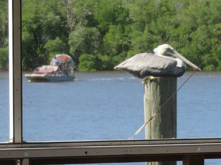 The view from the screened outdoor dining area at Triad Seafood. (Photo: David Blasco)