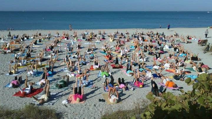 Discover the beaches of Venice, 'shark tooth capitol of the world' 5 beaches of venice Venice Yoga With Elin Discover the beaches of Venice, 'shark tooth capitol of the world'