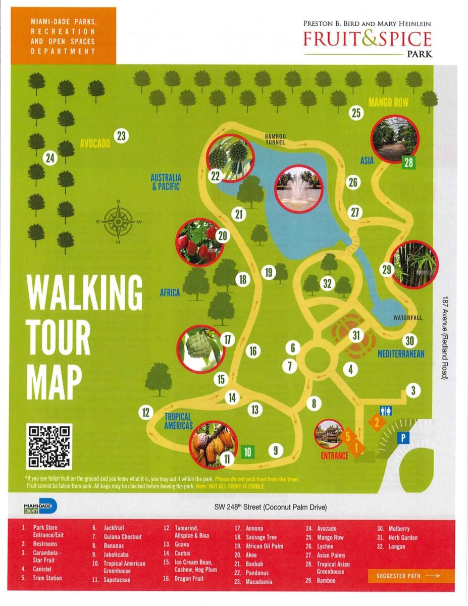 Fruit and Spice Park 10 wonders of unique garden in Redland