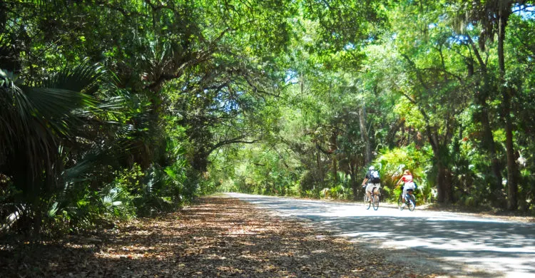The main road at Washington Oaks State Park is the original two-lane A1A, a great place to bicycle. (Photo: Bonnie Gross)