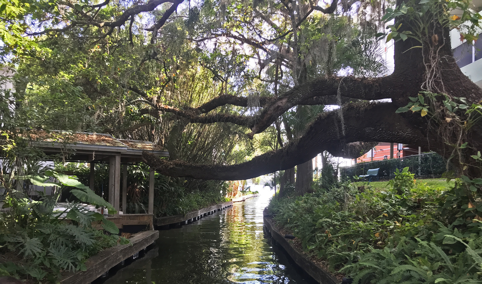 Things to do in Winter Park: The Winter Park Scenic Boat Tour takes you through narrow canals that connect the lakes. (Photo: Bonnie Gross)