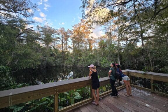 Fakahatchee Strand Preserve State Park, boardwalk