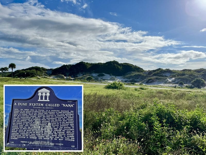 A1A Ocean Islands Trail takes you on a scenic byway along North Florida coast 10 There's not much to see in American Beach, but I loved the big dune system, which has been named Nana and preserved through the efforts of a pioneering Black environmentalist. (Photo: Bonnie Gross)