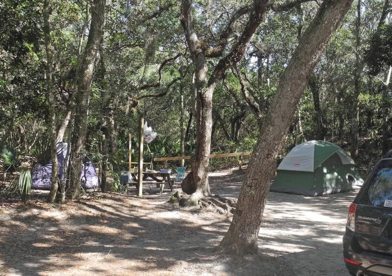 Anastasia State Park seduces. Stunning beach, shady campground. 5 anastasia state park campsite