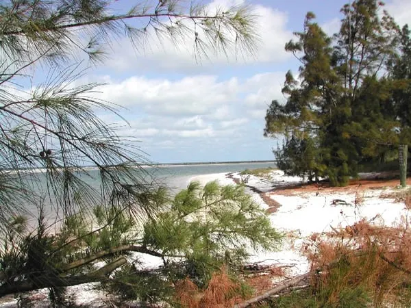 anclote key preserve state park beach on bayou