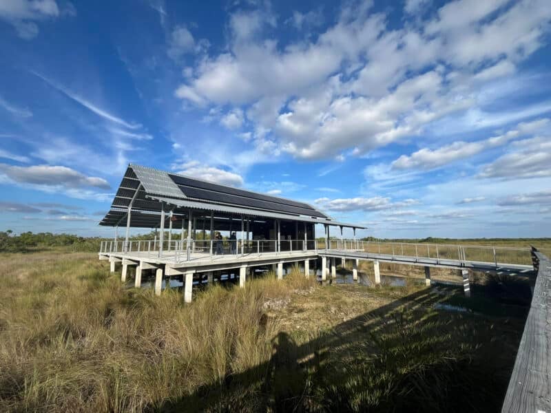 Favorite boardwalk reopens at Fakahatchee Strand near Everglades City 5 Fakahatchee Strand Preserve State Park big cypress pavilion Favorite boardwalk reopens at Fakahatchee Strand near Everglades City
