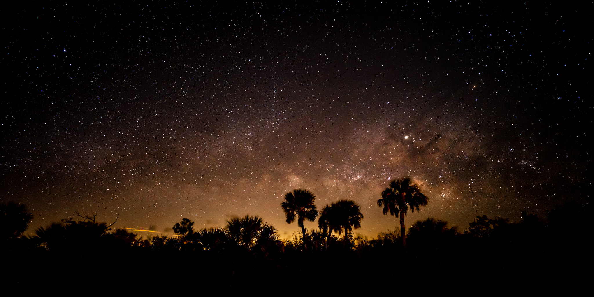 stargazing bigcypress stars dougdietrch 1 12 heavenly campgrounds for stargazing in Florida