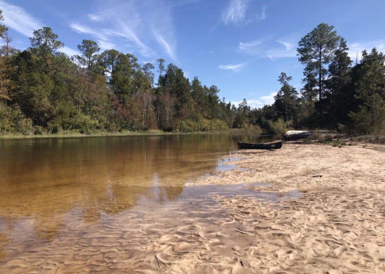 Blackwater River is so shallow, you can stand at most points and the bottom is white sand the whole way. Its near Milton FL. (Photo: Bonnie Gross)