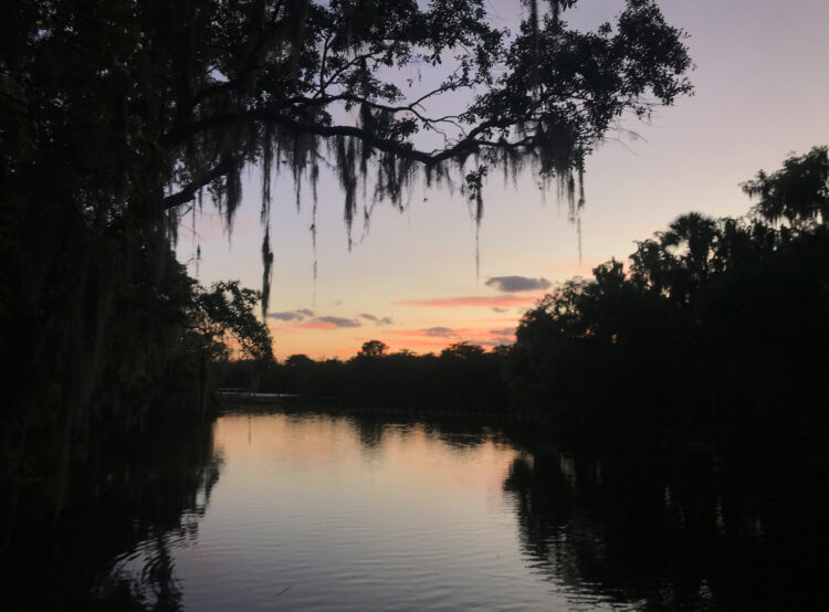 Blue Spring State Park sunset over the St. Johns River, waiting for fireflies to light up. (Photo: Bonnie Gross)