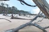 boneyard beach big talbot island