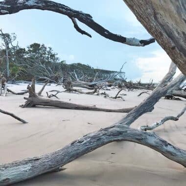 boneyard beach big talbot island