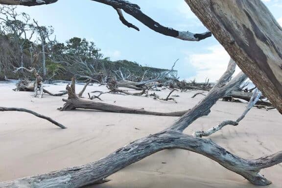 boneyard beach big talbot island