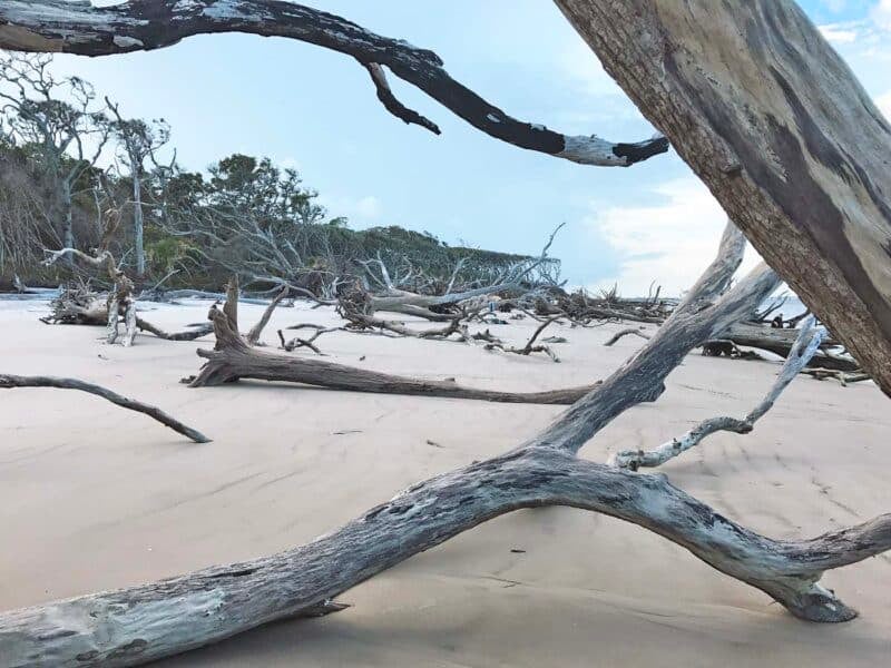 boneyard beach big talbot island
