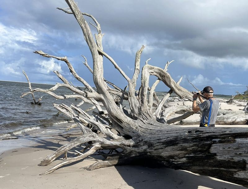 A1A Ocean Islands Trail takes you on a scenic byway along North Florida coast 8 Big Talbot Island State Park is home to a mile of beach where bleached trees create scenes that inspire photographers. (Photo: Bonnie Gross)