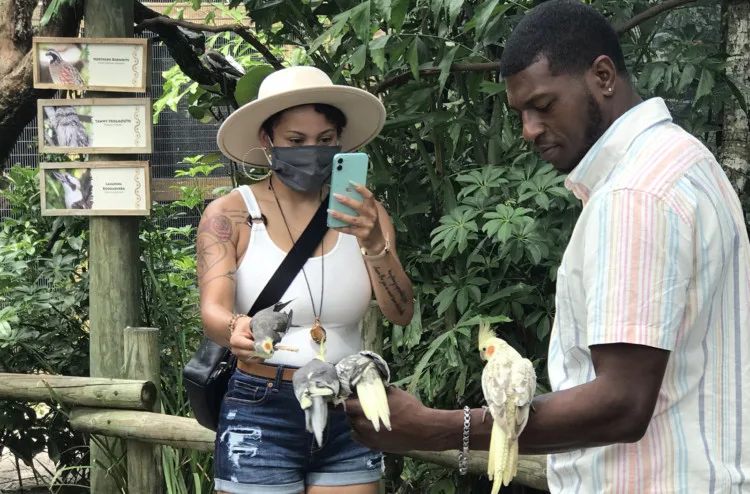 At the Brevard Zoo, there are two walk-in aviaries where visitors can interact with birds. (Photo: Bonnie Gross)
