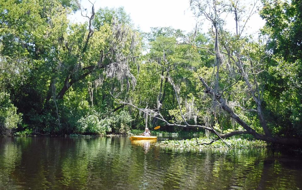 Bull Creek Campground A fish camp with charm