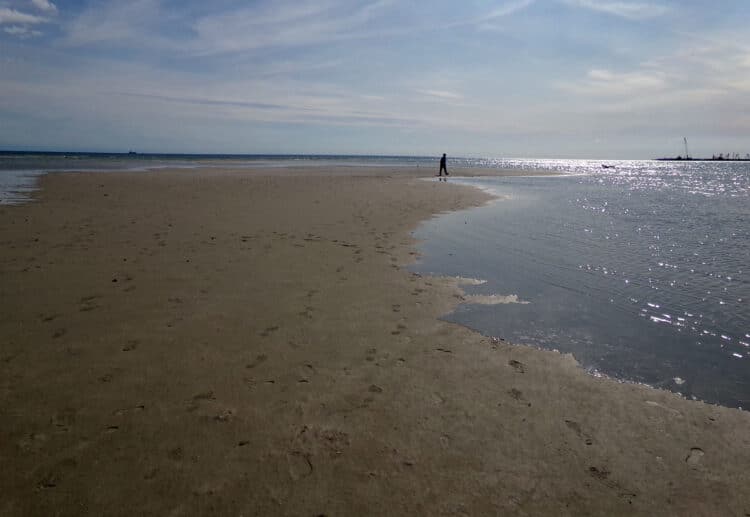 Fort Myers Bunche Beach: Heaven for birders, kayakers 3 Sandbars at Bunche Beach in Fort Myers (Photo: David Blasco)