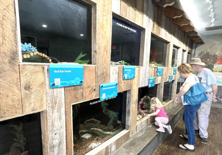 The reptile exhibit was satisfying because you could get close to the snakes and other reptiles and watch them. (Photo: Bonnie Gross)