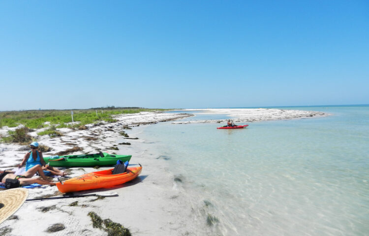 Things to do in Dunedin, Florida: Caladesi Island, accessible only by boat, is a great kayaking desination. (Photo: David Blasco)