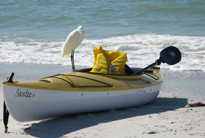 Kayaking Fort Myers waterways along the Calusa Blueway. (Photo: Lee County Convention and Visitors Bureau)