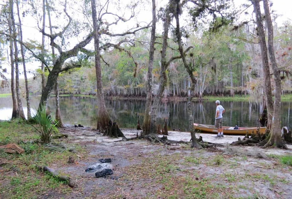 This primitive campsite is a camping site while kayaking Fisheating Creek.. (Photo: Bonnie Gross)