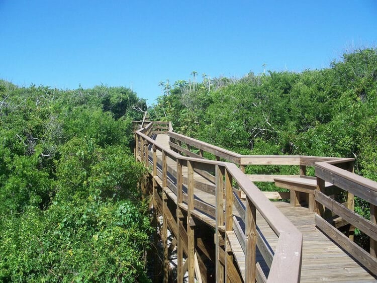Unspoiled Canaveral beaches: Solace, beauty and free July 4 weekend 5 canaveral national seashore turtle mound