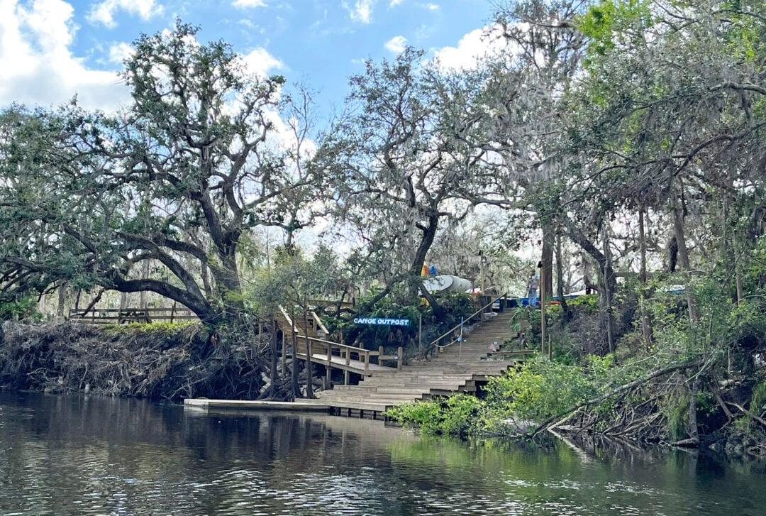 Peace River Kayaking here is a special Florida adventure