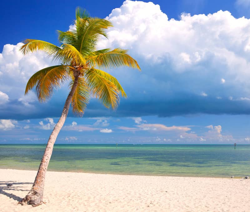 Florida Keys beach