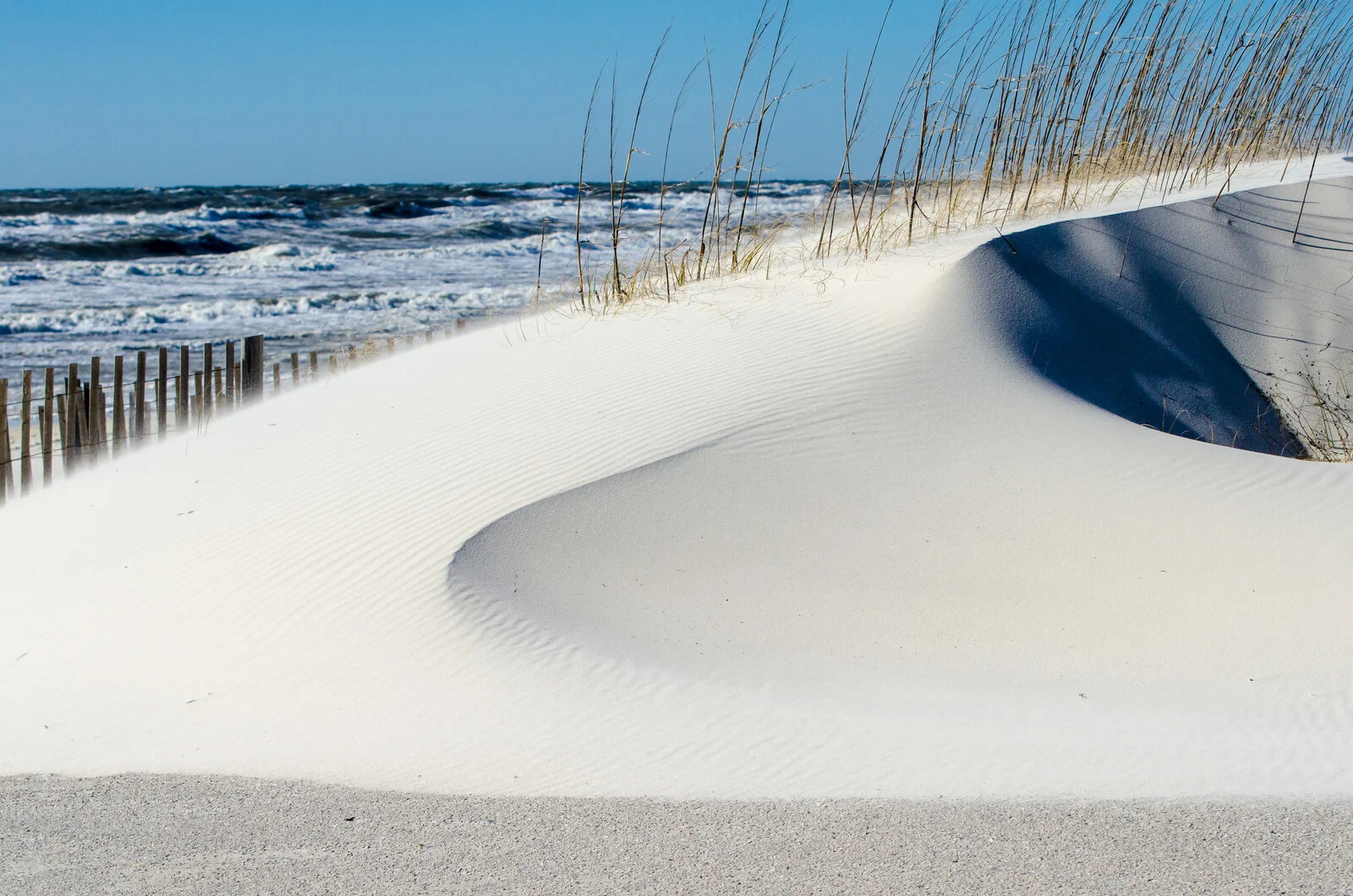 beach camping cape san blas canstockphoto34611402 Best beach camping in Florida's Panhandle
