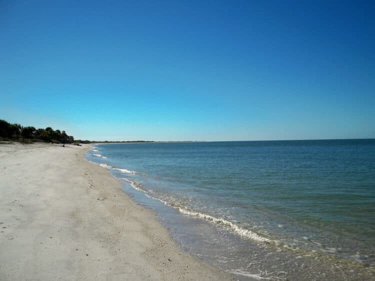 Cayo Costa: A wild island with spectacular beach you can visit by boat 4 If you crave a beach where you can walk for miles and see no one, go to Cayo Costa. (Photo: Bonnie Gross)