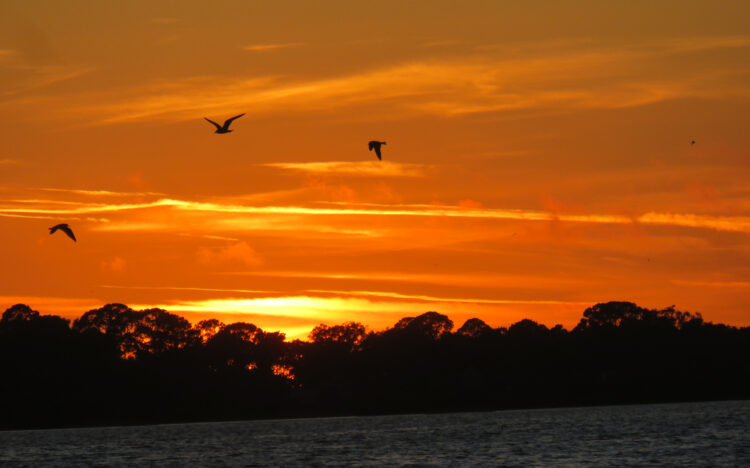 Watching the sunset is one of the top things to in Cedar Key . (Photo: David Blasco)