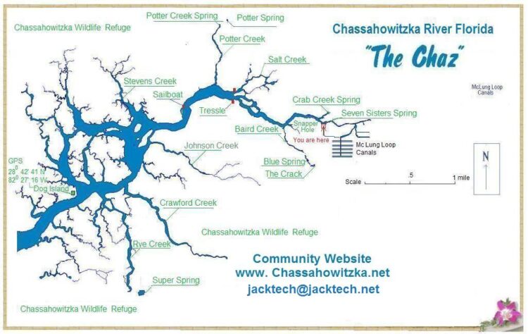 chassahowitzka chassahowitzkariver map The Chaz: Springs & wildlife make this river a special kayak trail