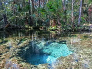 Chassahowitzka River, one of the Seven Sisters Springs.