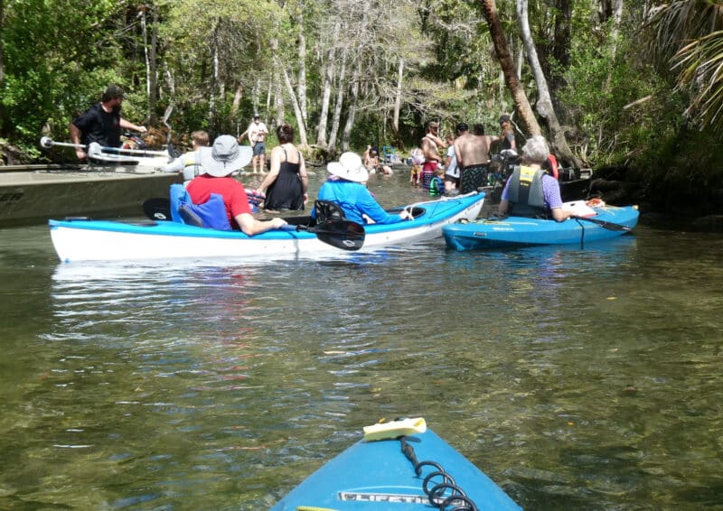 'Springs break:' 3 springs, 3 days; kayaking Florida's sparkling jewels 2 The Chaz on a Saturday morning in March: We could reach Seven Sisters Spring because it was too crowded. (Photo: David Blasco)