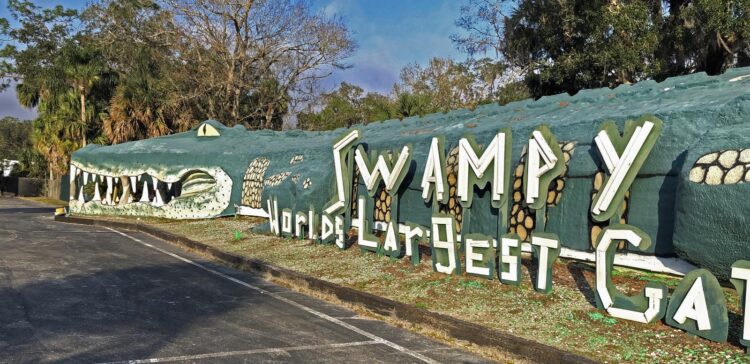 Yes, Swampy is the world’s largest alligator. Photo Deborah Hartz-Seeley.