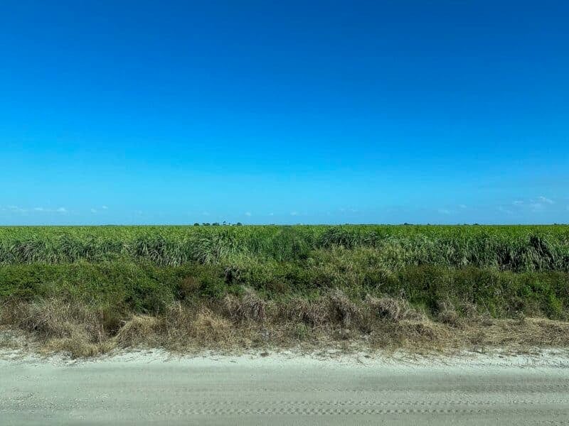 Sugar Express: Sweet ride aboard a steam train 6 sugar express clewiston sugar cane Sugar Express: Sweet ride aboard a steam train
