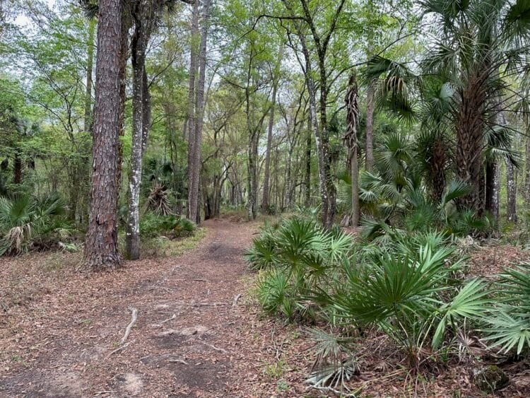 Colt Creek State Park: Haven for trail walkers, off-road cyclists and wildlife. Great camping, too! 3 colt creek state park trail