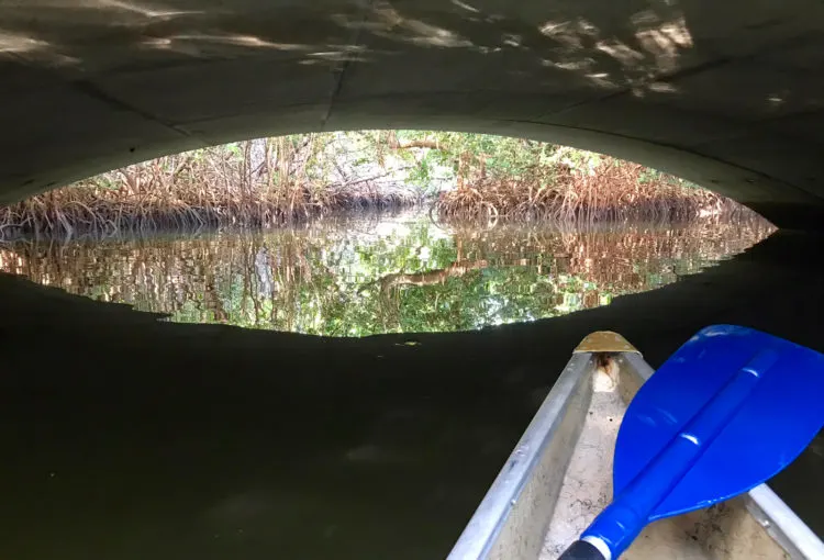 Paddling under the tunnel through the mangroves at Curry Hammock State Park. (Photo: Bonnie Gross)