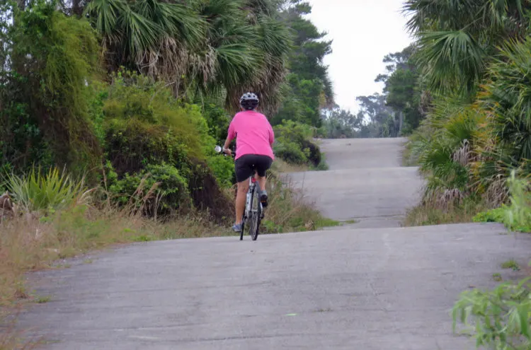 This bike trail in Jonathan Dickinson State Park is actually Old Dixie Highway, which was closed through this area in World War II. (Photo: David Blasco)