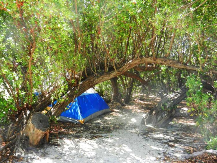 Campsite at Dry Tortugas National Park: Shade part of the day and steps from beach and fort. (Photo: Bonnie Gross)