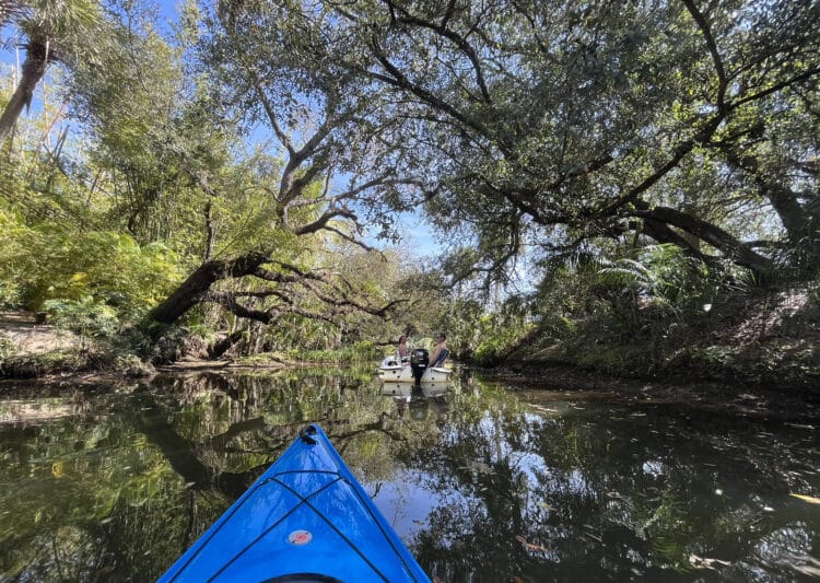 Upstream on Estero River is a gem for kayakers near Naples and Fort Myers 2 While most of the boats are paddlecraft, an occasional fisherman in a power boat is also seen on the Estero River. (Photo: Bonnie Gross)