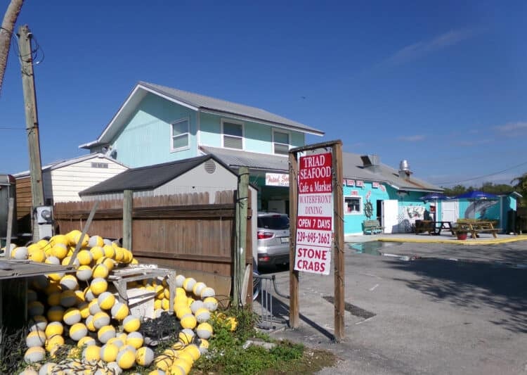Take a perfect trip to Everglades City 16 Triad Seafood in Everglades city is located on the working waterfront of the Barron River with stone crab traps and marine paraphernalia stacked nearby. It's a favorite spot for stone crabs in Everglades City. (Photo: David Blasco)