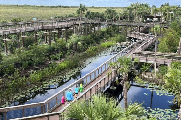 Everglades Elevated Boardwalk on Alligator Alley.(Photo: Bonnie Gross)