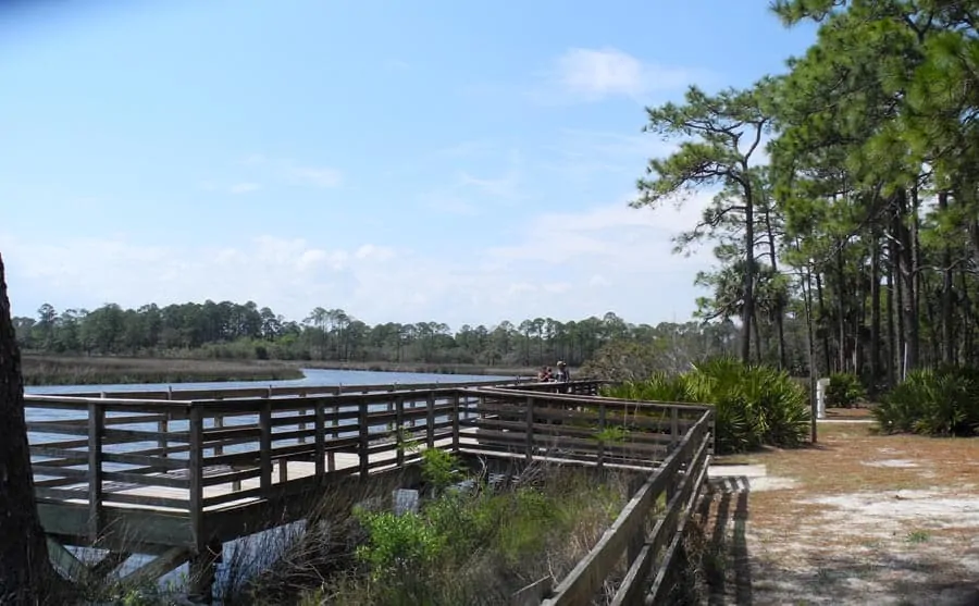 fishing dock at faver dykes state park