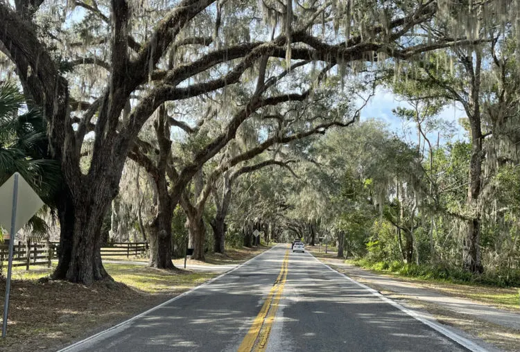 Floral City Avenue of the Oaks near the Withlacoochee Trail. (Photo: Bonnie Gross)