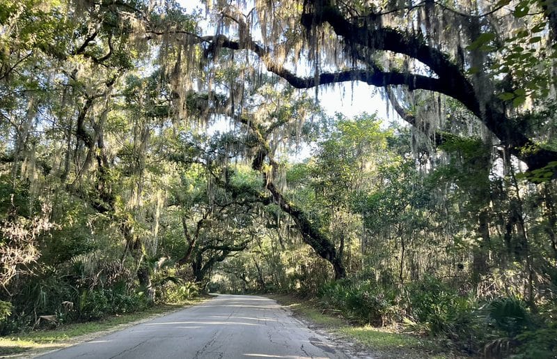 A1A Ocean Islands Trail takes you on a scenic byway along North Florida coast 13 I thought the most scenic route along the byway was inside Fort Clinch State Park at the top of Amelia Island. the canopy road there is exquisite. (Photo: Bonnie Gross)