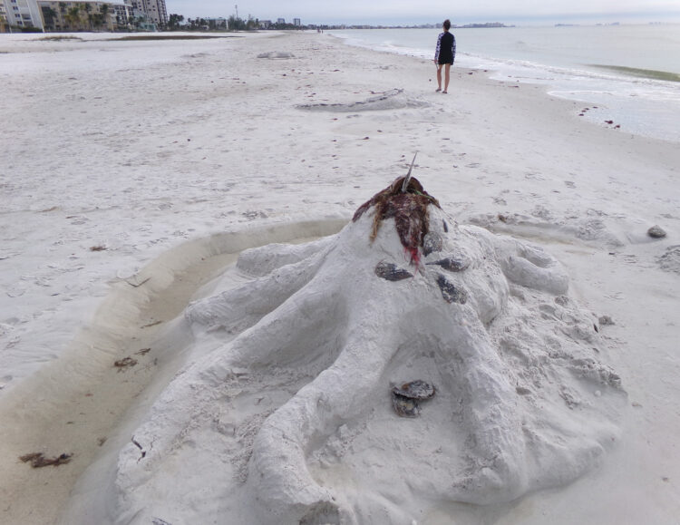 An octopus sculpture on the white sand beach at Fort Myers Beach. (Photo: David Blasco)
