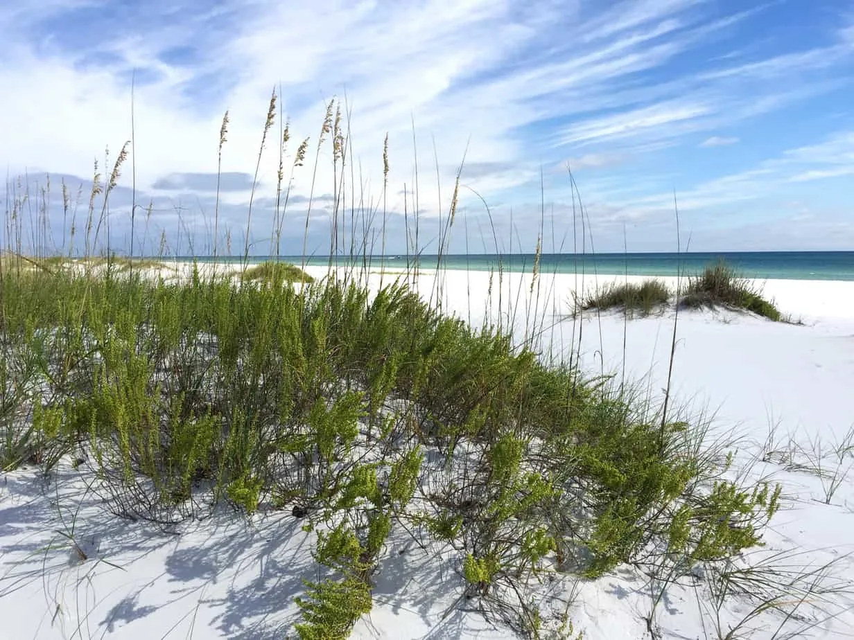 Beach camping in Florida: Gulf Island National Seashore. (Photo/VisitPensacola)