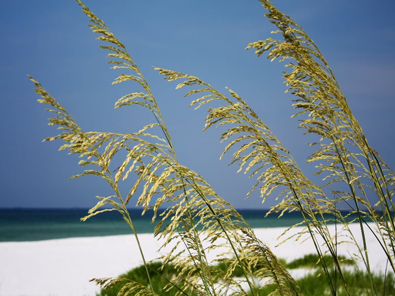 The beach at Fort Pickens