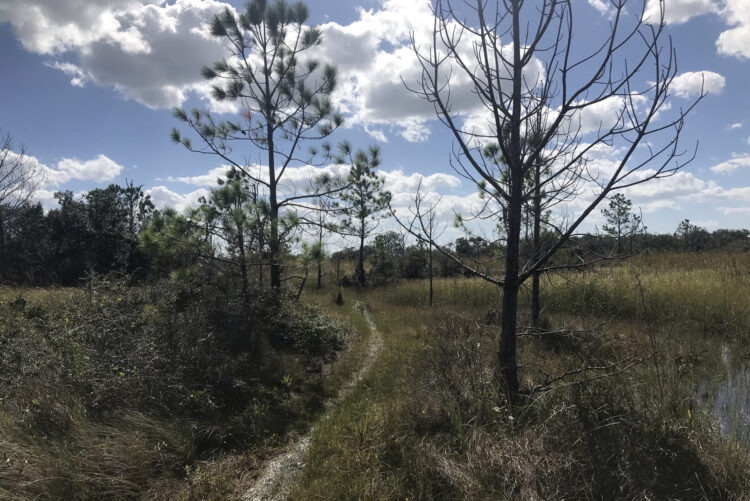 The Blackbird Marsh Trail near Fort Pickens at Gulf Islands National Seashore was beautiful and had informative signage identifying plants and trees. (Photo: Bonnie Gross)